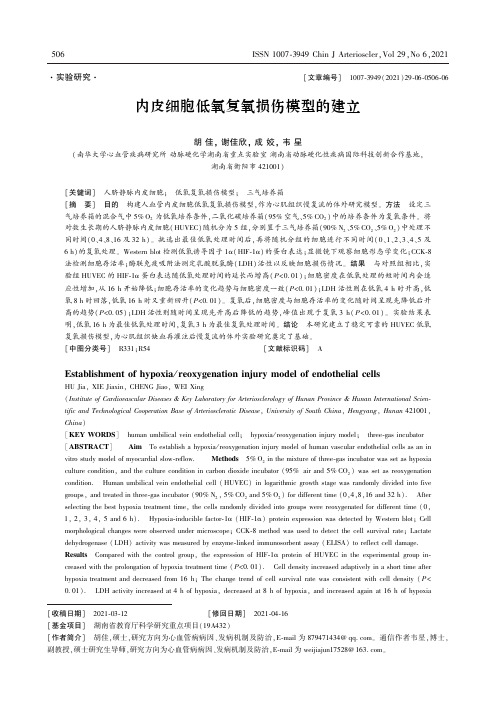 内皮细胞低氧复氧损伤模型的建立