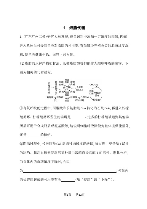 高考生物学二轮总复习课后习题 大题分析与表达练 1.细胞代谢 (3)