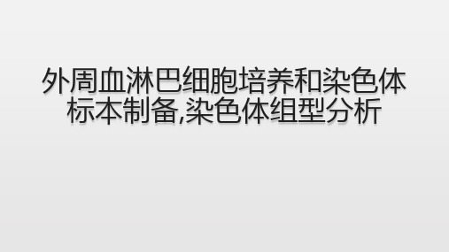 外周血淋巴细胞培养和染色体标本制备