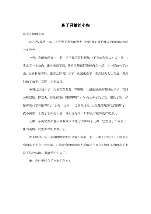 鼻子灵敏的小狗_小学四年级作文400字