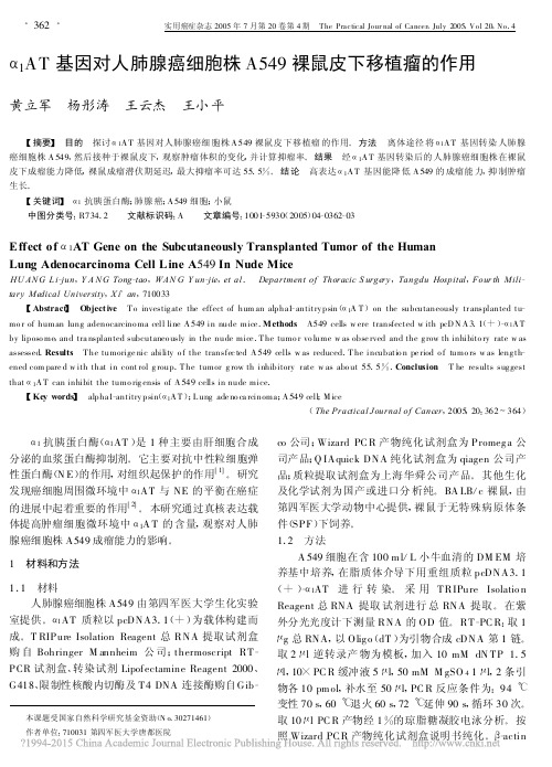 _1AT基因对人肺腺癌细胞株A549裸鼠皮下移植瘤的作用_黄立军