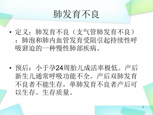 推荐精选胎儿肺部疾病