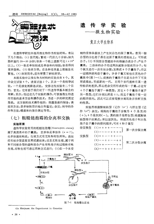 遗传学实验