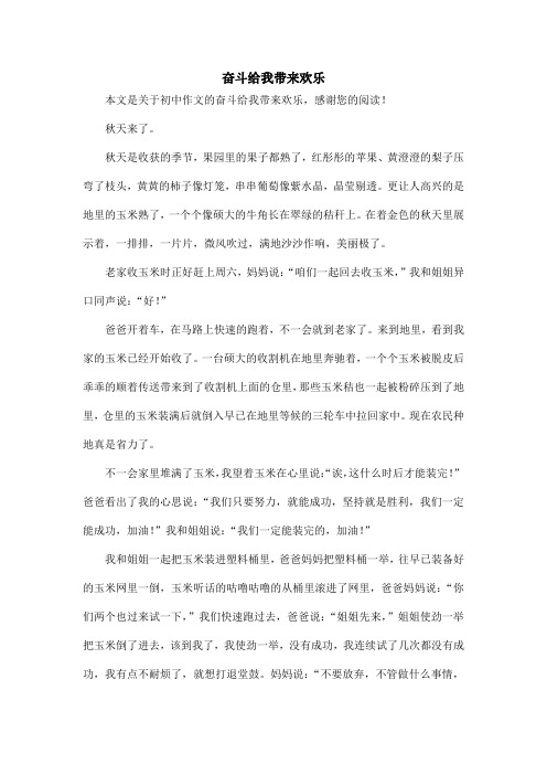 奋斗给我带来欢乐_初中作文