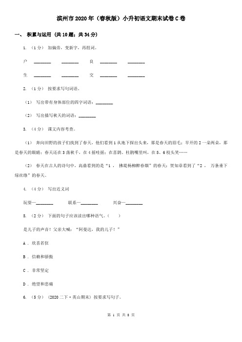 滨州市2020年(春秋版)小升初语文期末试卷C卷