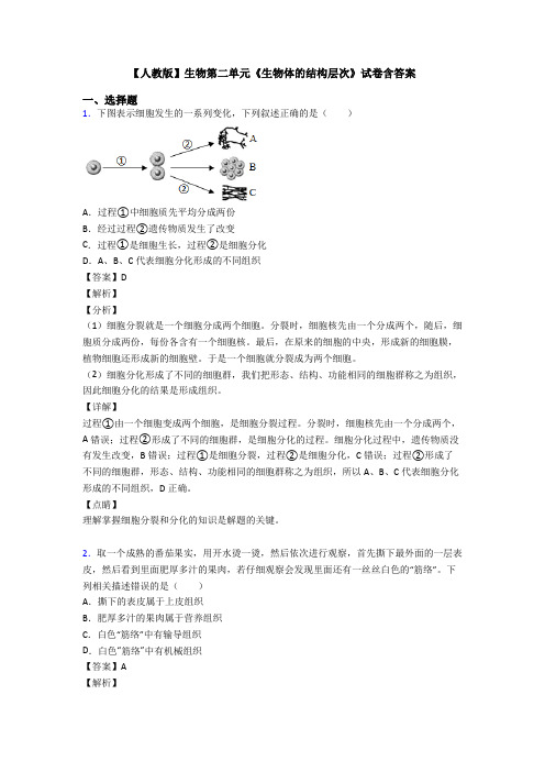 【人教版】生物第二单元《生物体的结构层次》试卷含答案