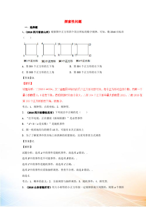 2022年中考数学试卷精选汇编 探索性问题(含解析)