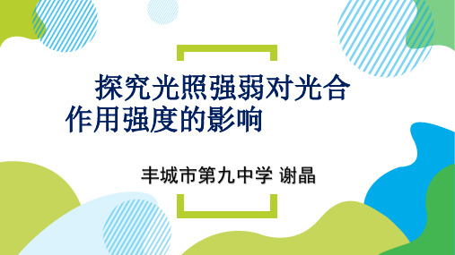 探究光照强度对光合作用强度的影响