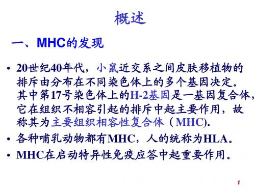 主要组织相容性复合体