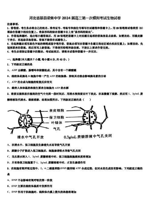 河北省景县梁集中学2024届高三第一次模拟考试生物试卷含解析