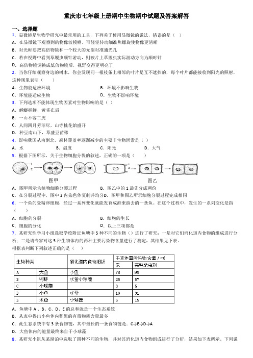 重庆市七年级上册期中生物期中试题及答案解答