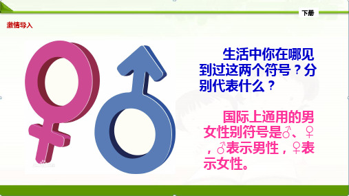 部编人教版《道德与法治》七年级下册2.1男生女生课件(共13张PPT)