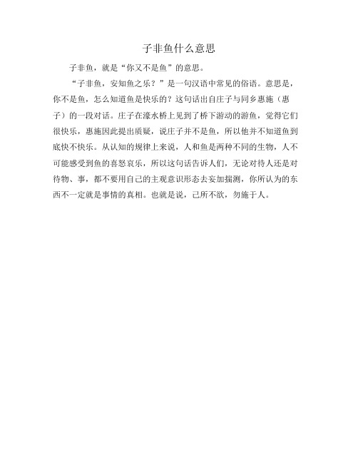 子非鱼什么意思