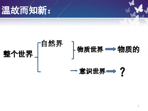 人教版高中政治必修4《生活与哲学》《意识的本质》精品PPT课件