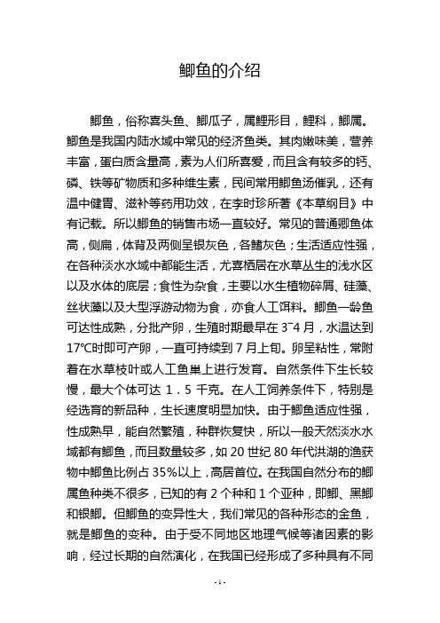 鲫鱼的介绍