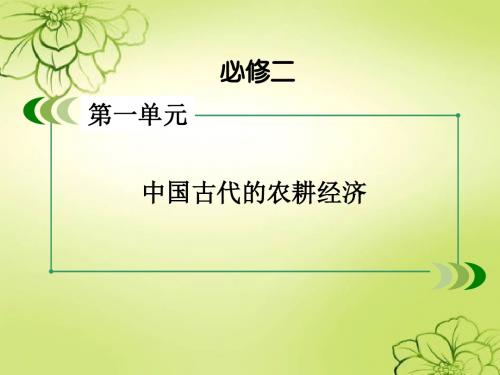 高考历史一轮复习 中国古代的农耕经济 农耕时代的商业与城市和近代前夜的发展与迟滞 近代前夜的发展与迟滞