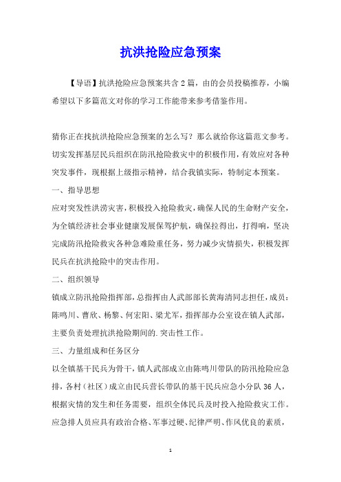 抗洪抢险应急预案