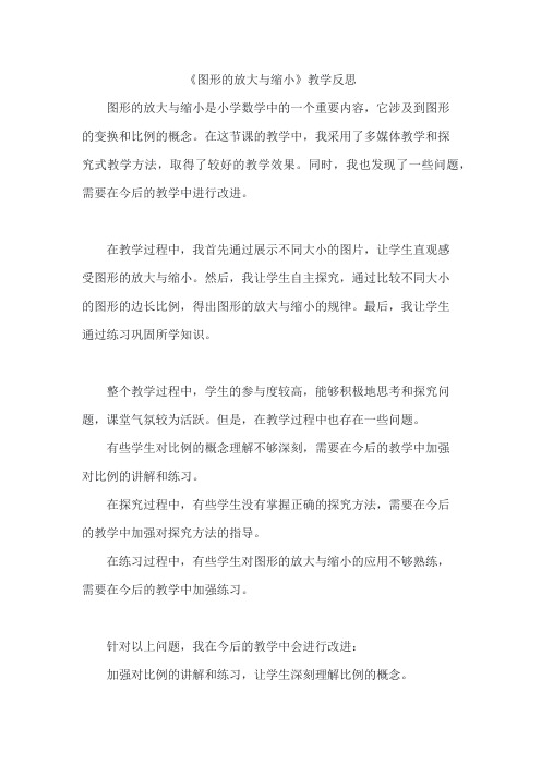 《图形的放大与缩小》教学反思