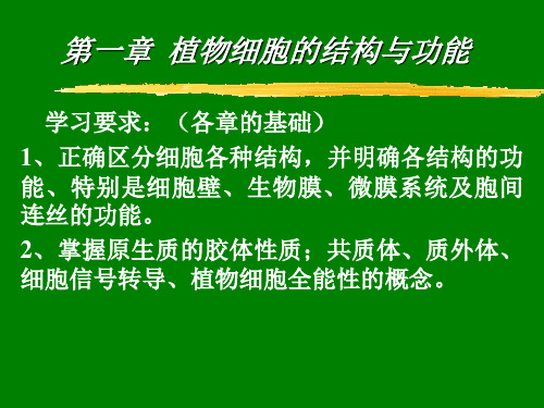 第一章—植物细胞的结构和功能