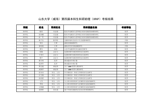 URAP考核结果-山东大学威海法学院