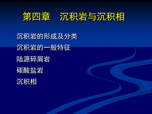 《石油地质基础》41沉积岩与沉积相