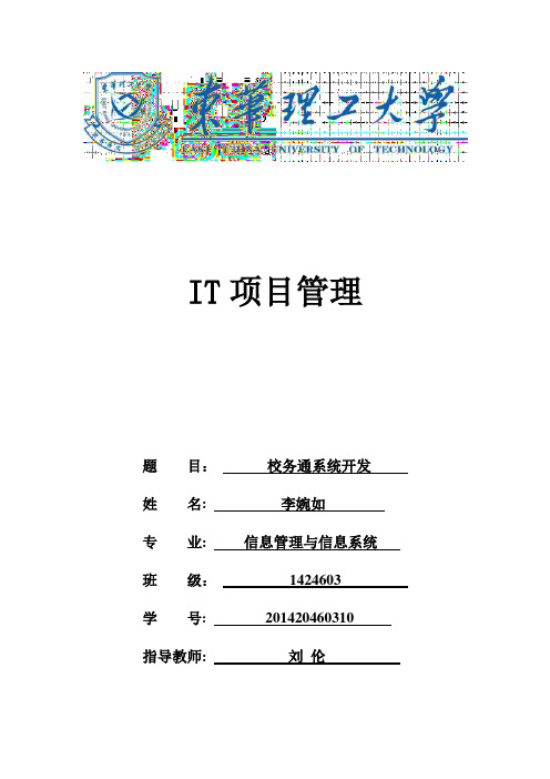 IT项目管理【范本模板】