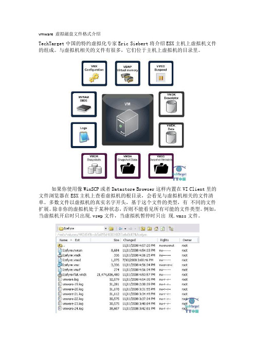 vmware 虚拟磁盘文件格式介绍