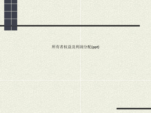 所有者权益及利润分配(ppt)