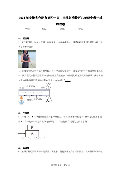 2024年安徽省合肥市第四十五中学橡树湾校区九年级中考一模物理卷