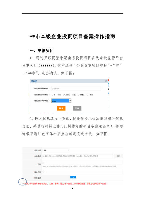 郴州市本级企业投资项目备案操作指南【模板】