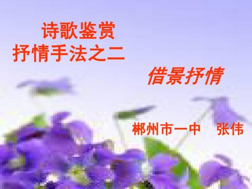 诗歌鉴赏之抒情方式6