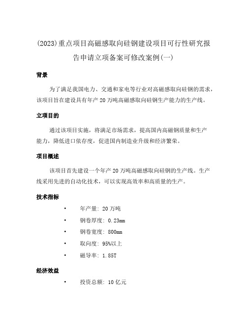 (2023)重点项目高磁感取向硅钢建设项目可行性研究报告申请立项备案可修改案例(一)