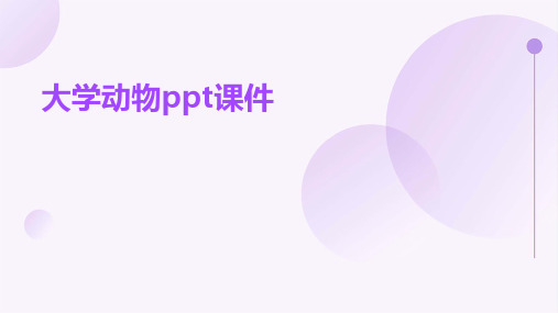 大学动物ppt课件