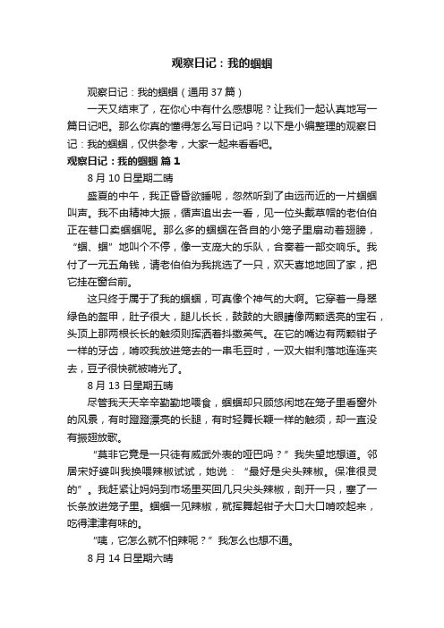 观察日记:我的蝈蝈(通用37篇)