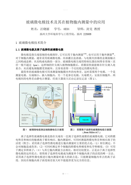 玻璃微电极技术及其在植物胞内测量中的应用