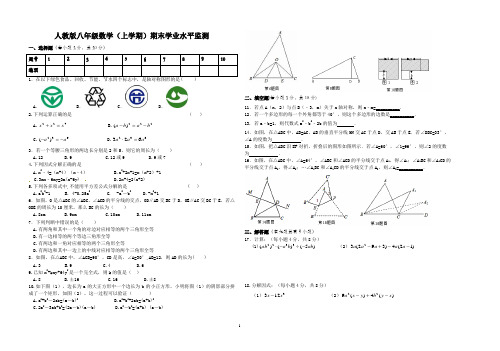 人教版八年级数学(上学期)期末学业水平监测试题 附答案解析