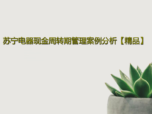 苏宁电器现金周转期管理案例分析【精品】PPT文档19页