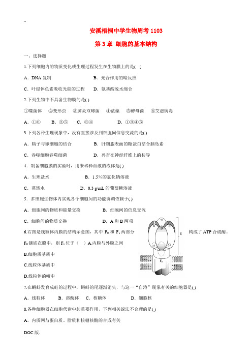 福建省安溪梧桐中学2011届高三生物上学期周考之三 新人教版