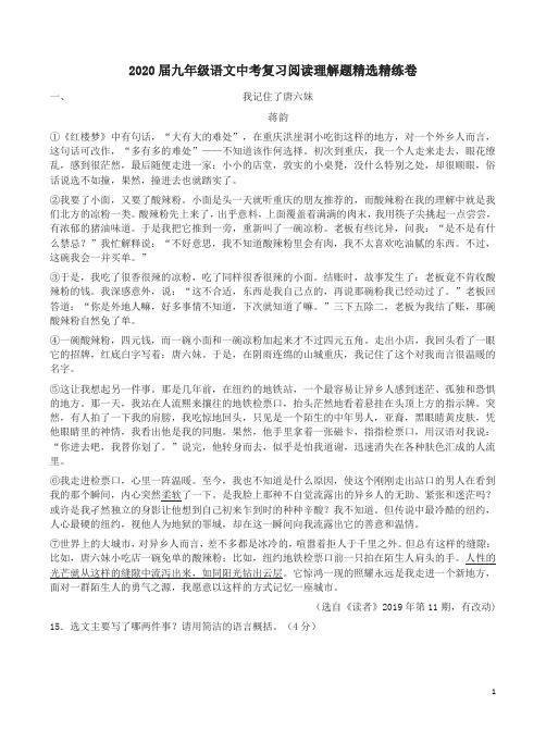 2020届九年级语文中考复习阅读理解题精选精练卷附答案解析