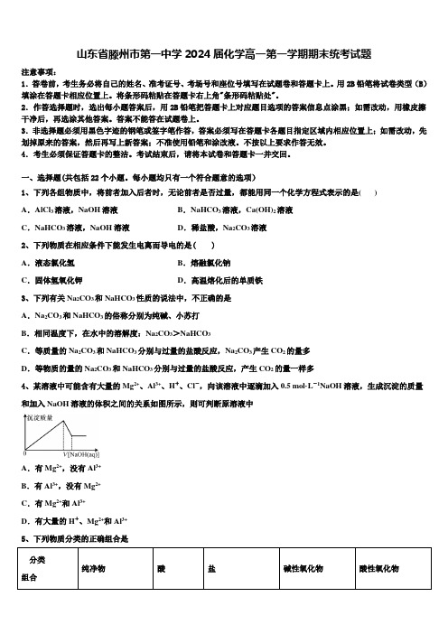 山东省滕州市第一中学2024届化学高一第一学期期末统考试题含解析