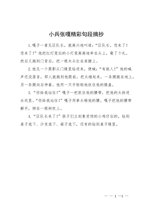 小兵张嘎精彩句段摘抄