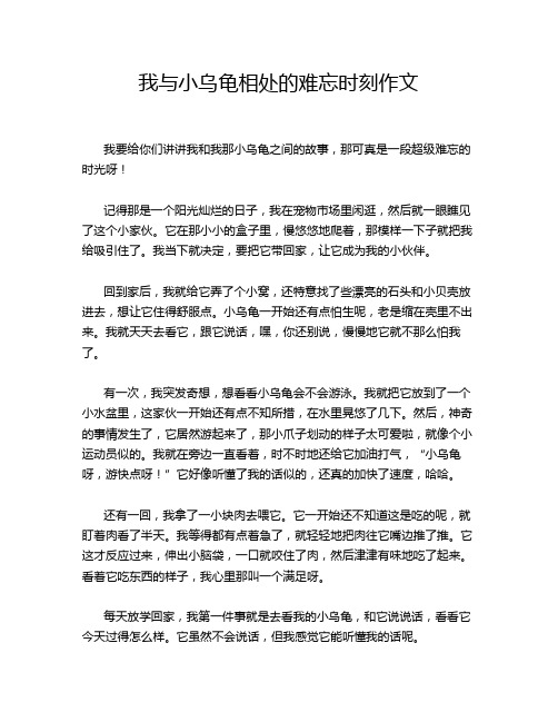 我与小乌龟相处的难忘时刻作文