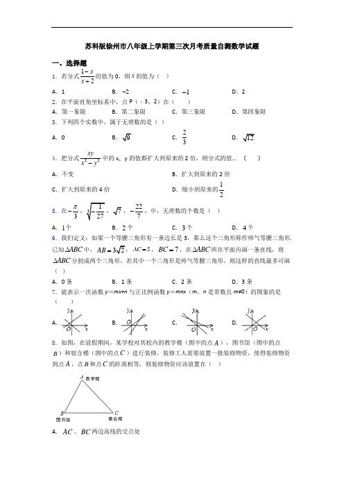 苏科版徐州市八年级上学期第三次月考质量自测数学试题