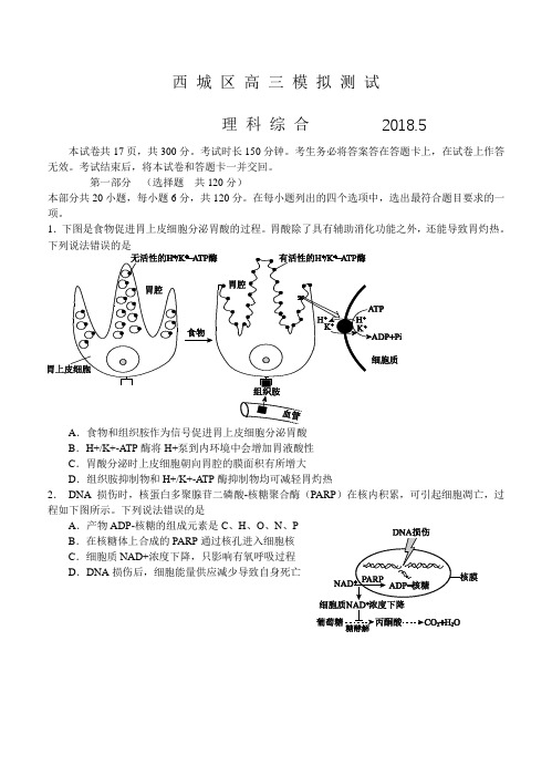 北京市西城区2018届高三二模试题理科综合试卷含答案