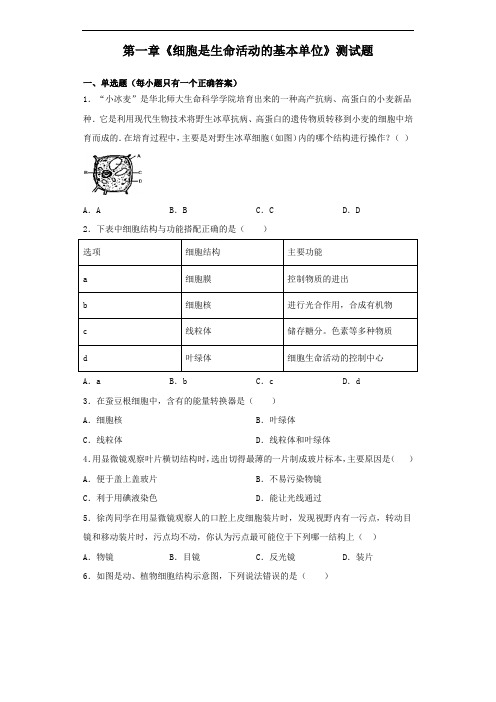 人教版生物七年级上第二单元第一章《细胞是生命活动的基本单位》测试题(含答案)