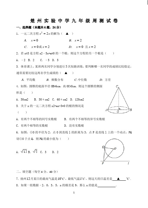 楚州实验中学九年级周测试卷    3