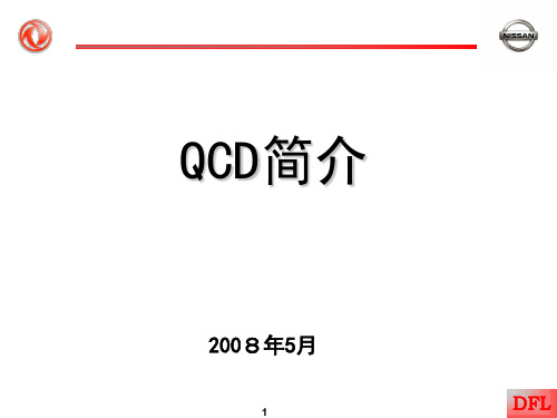 QCD简介精品文档