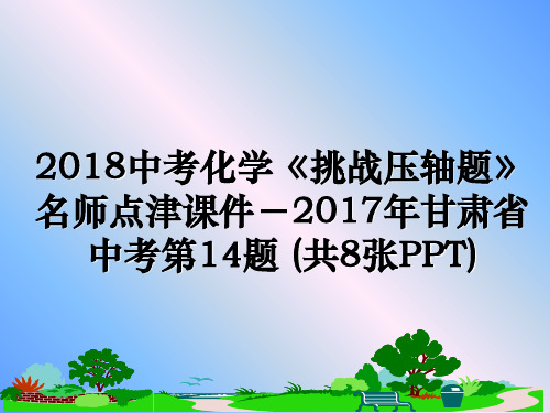 最新2018中考化学《挑战压轴题》名师点津课件-年甘肃省中考第14题 (共8张ppt)教学讲义ppt