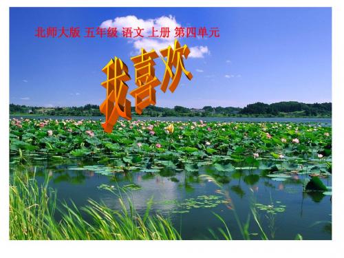 北师大版语文第九册《我喜欢》