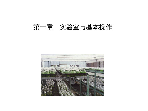 植物组织培养—第一章